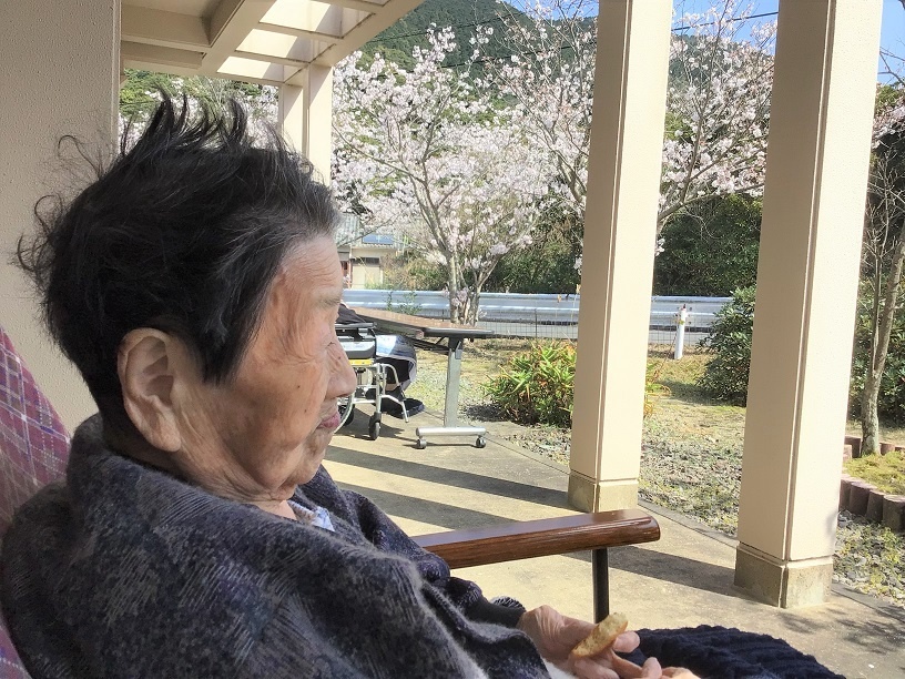 令和4年度花見