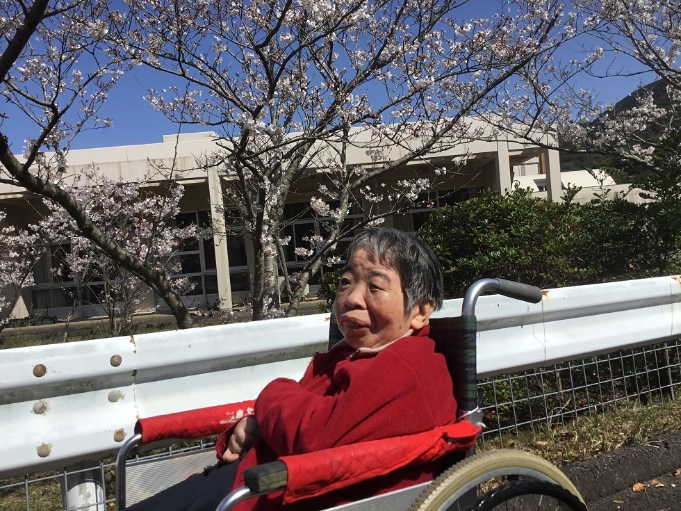 令和５年花見