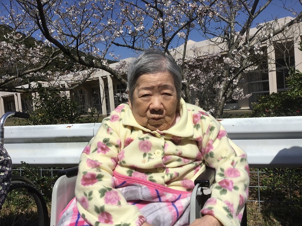 令和５年花見