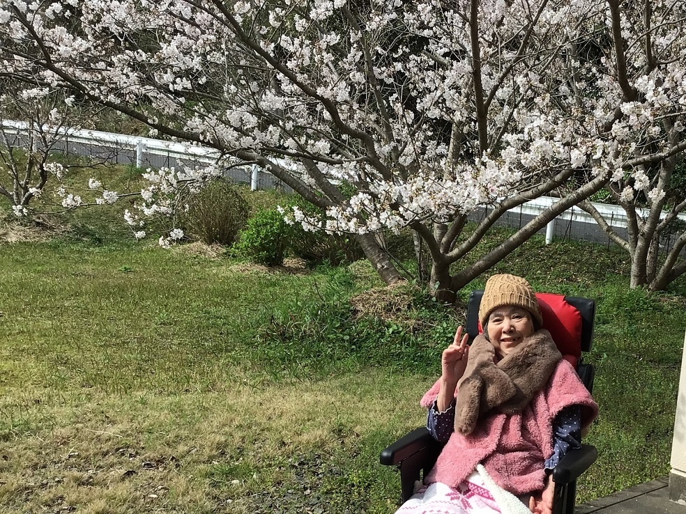 令和５年花見
