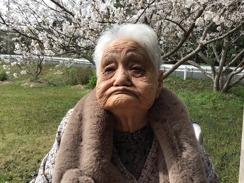 令和５年花見