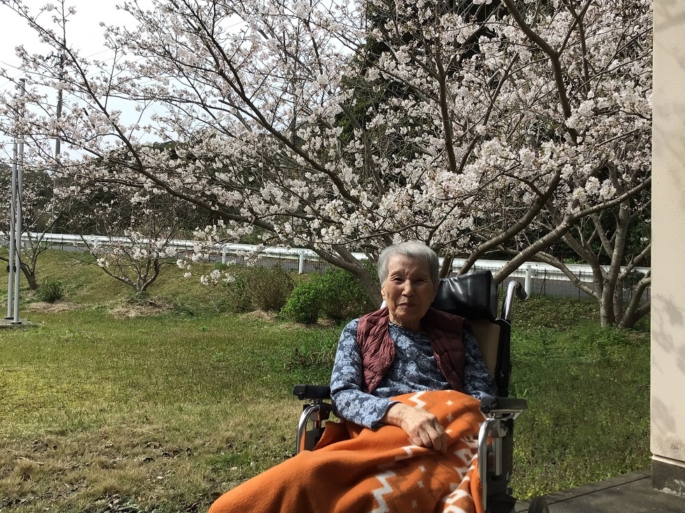 令和５年花見