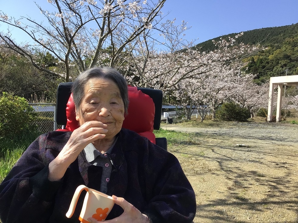 令和５年花見