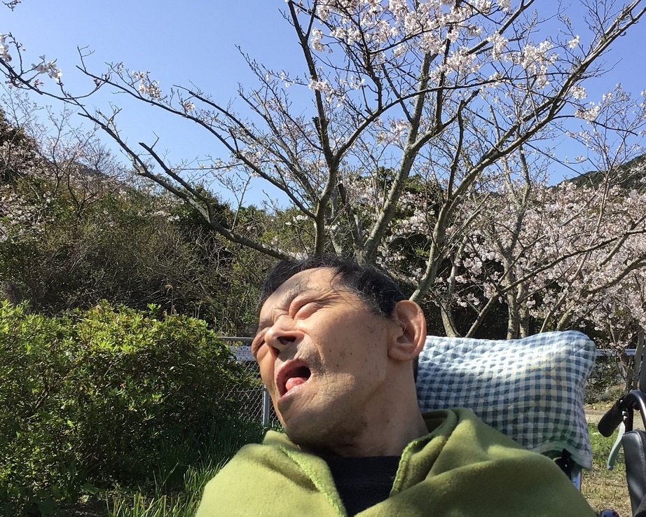 令和５年花見