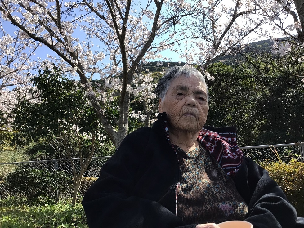 令和５年花見