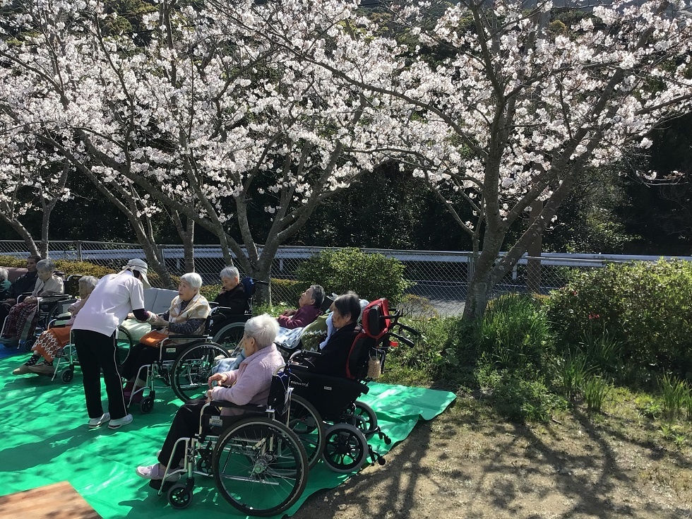 令和５年花見