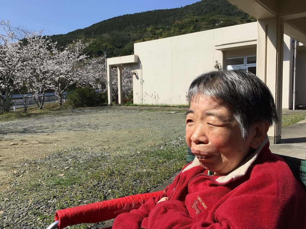 令和５年花見