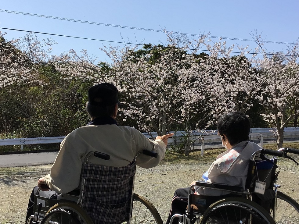 令和５年花見