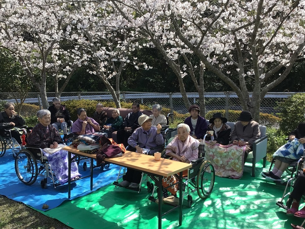 令和５年花見