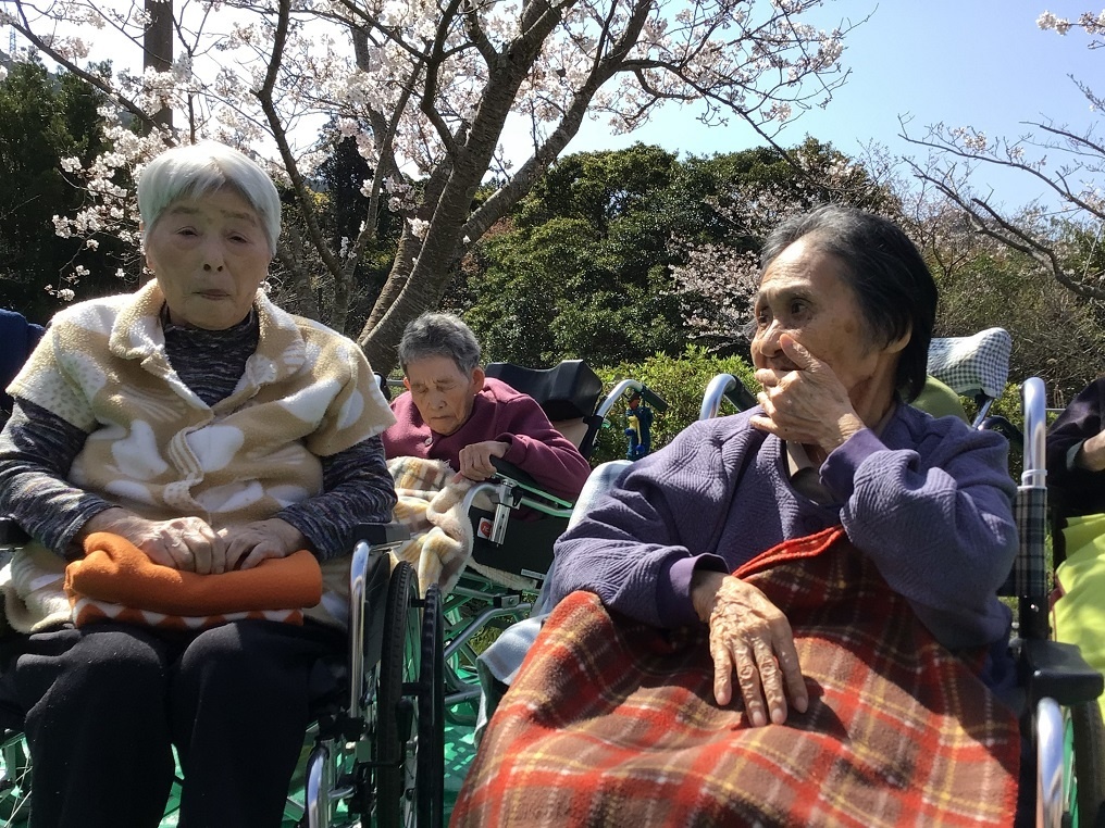 令和５年花見