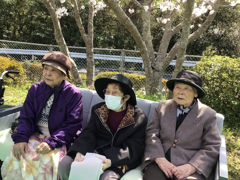 令和５年花見