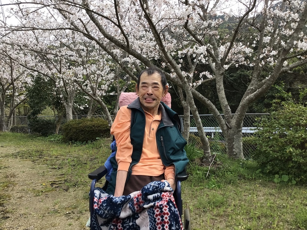 令和６年花見