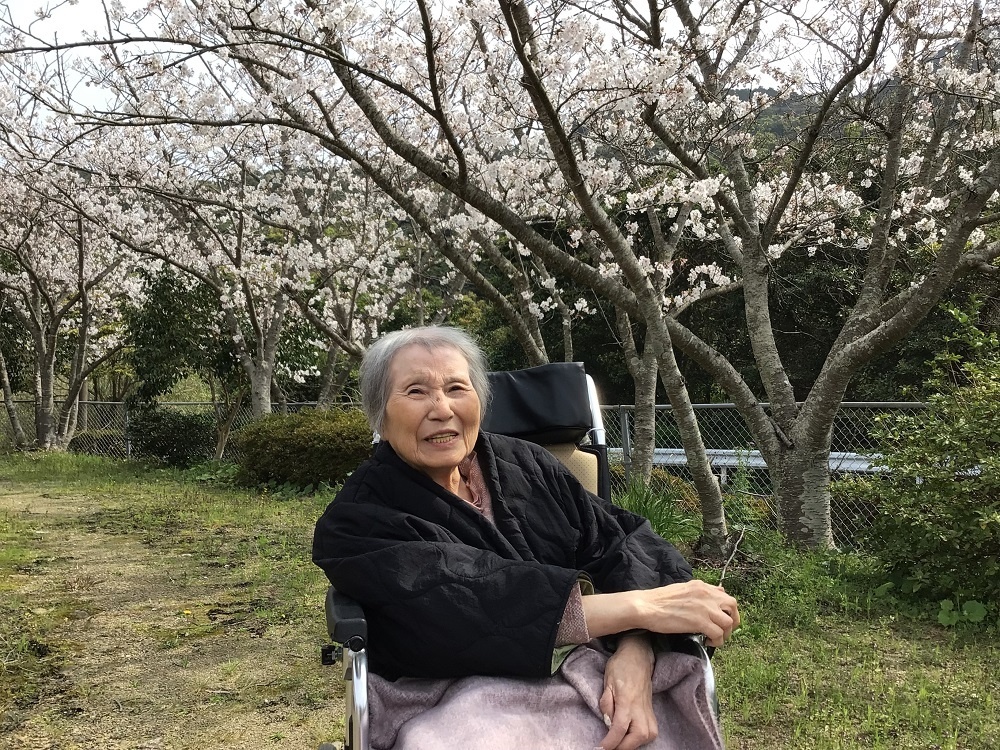 令和６年花見