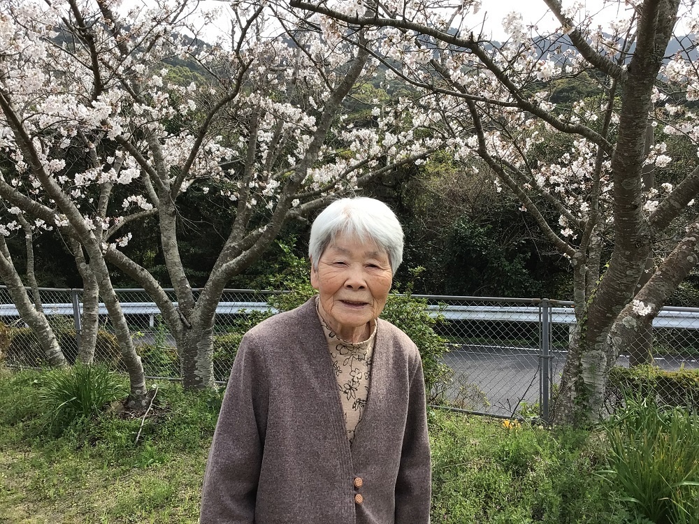 令和６年花見