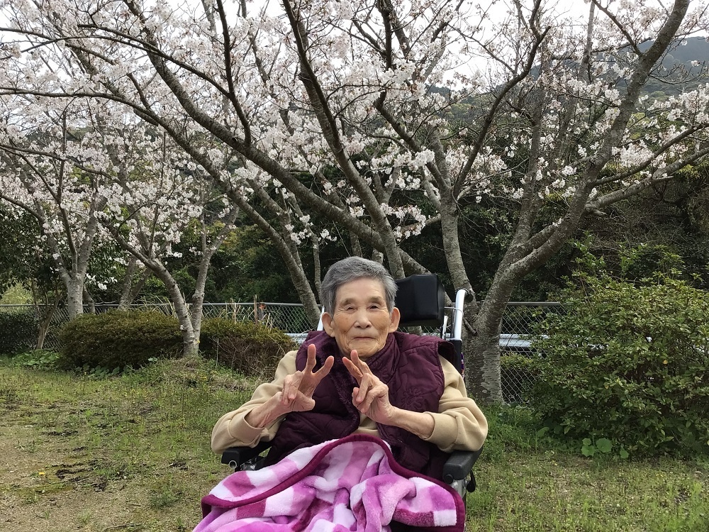 令和６年花見
