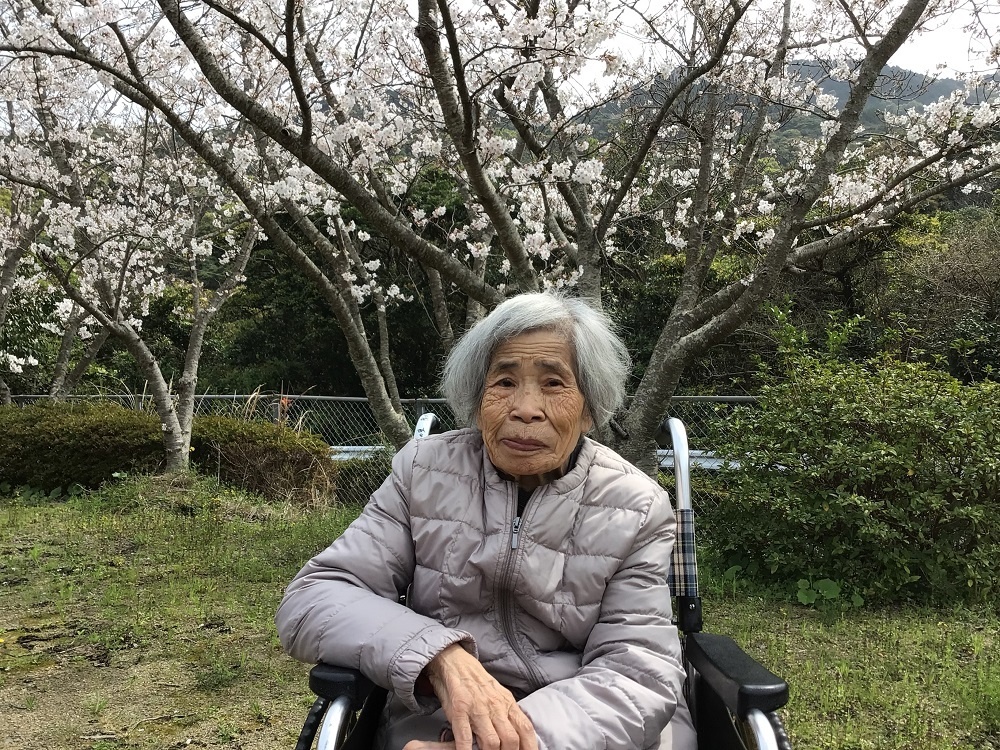 令和６年花見