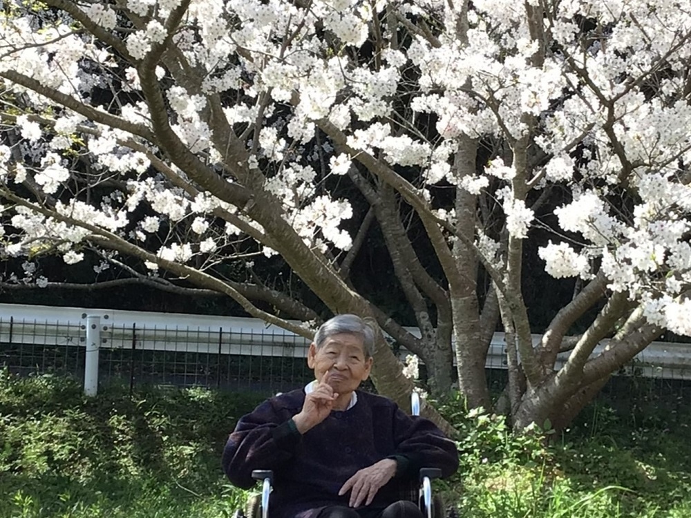 令和６年花見
