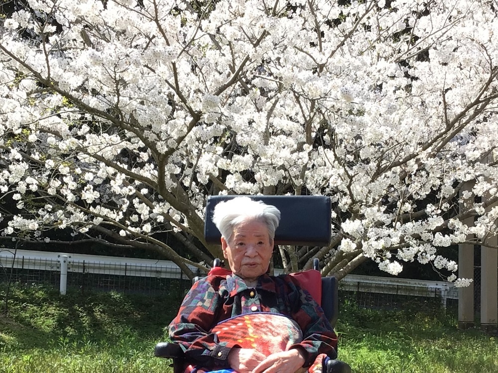 令和６年花見