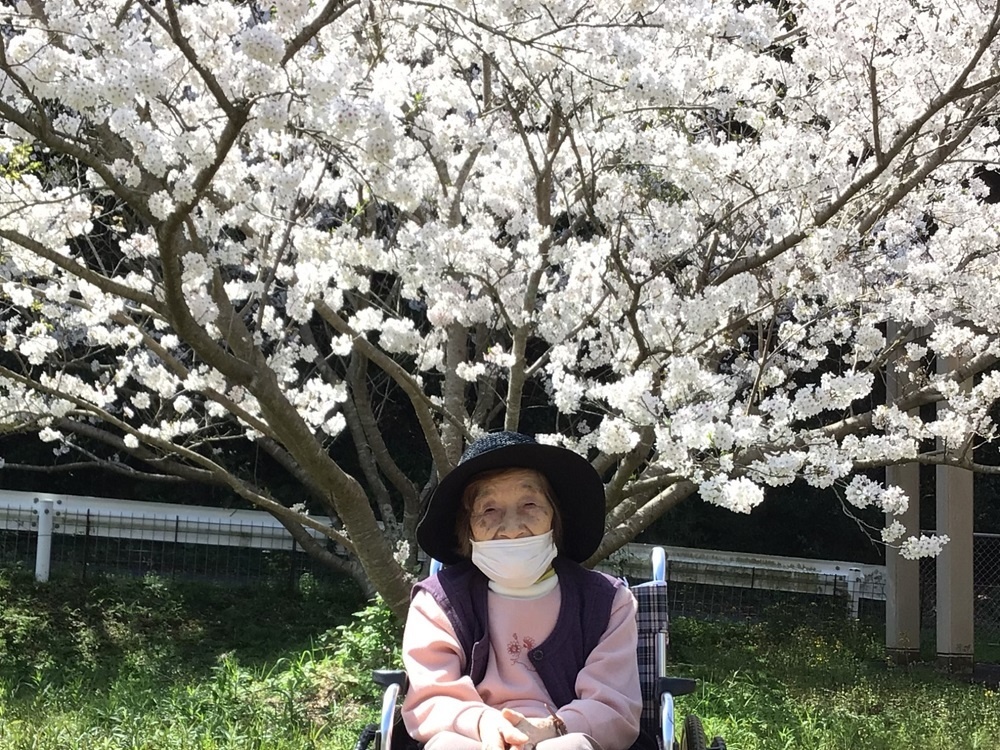 令和６年花見