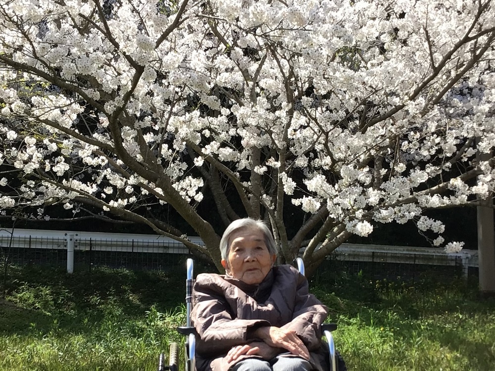 令和６年花見