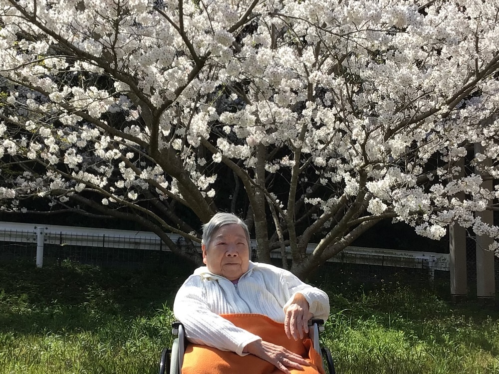 令和６年花見