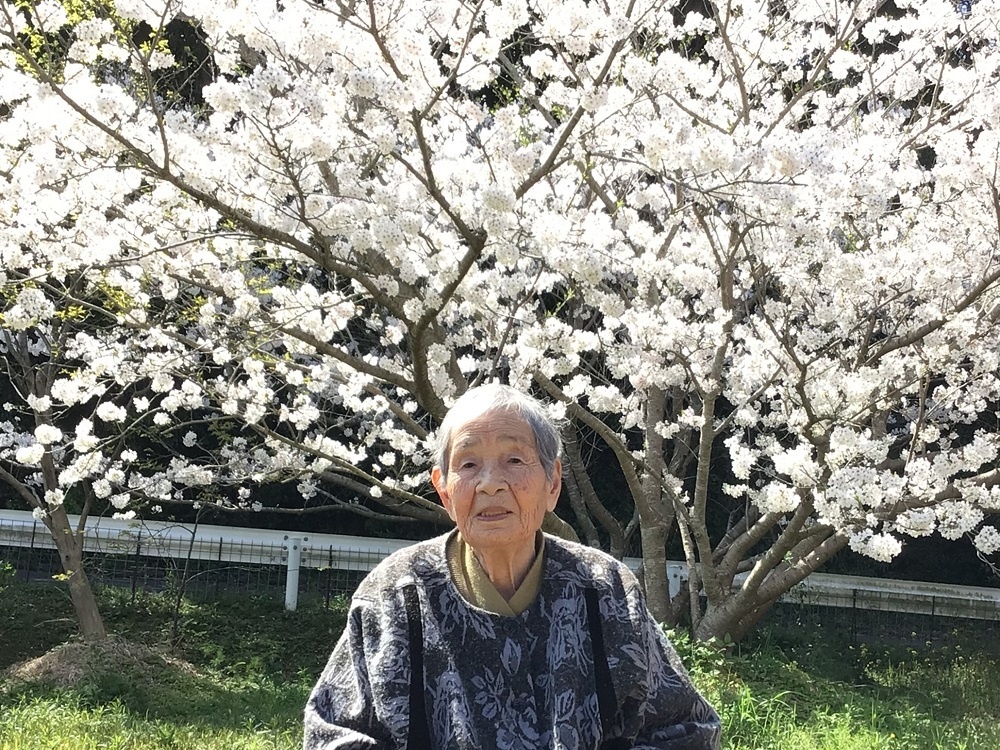 令和６年花見