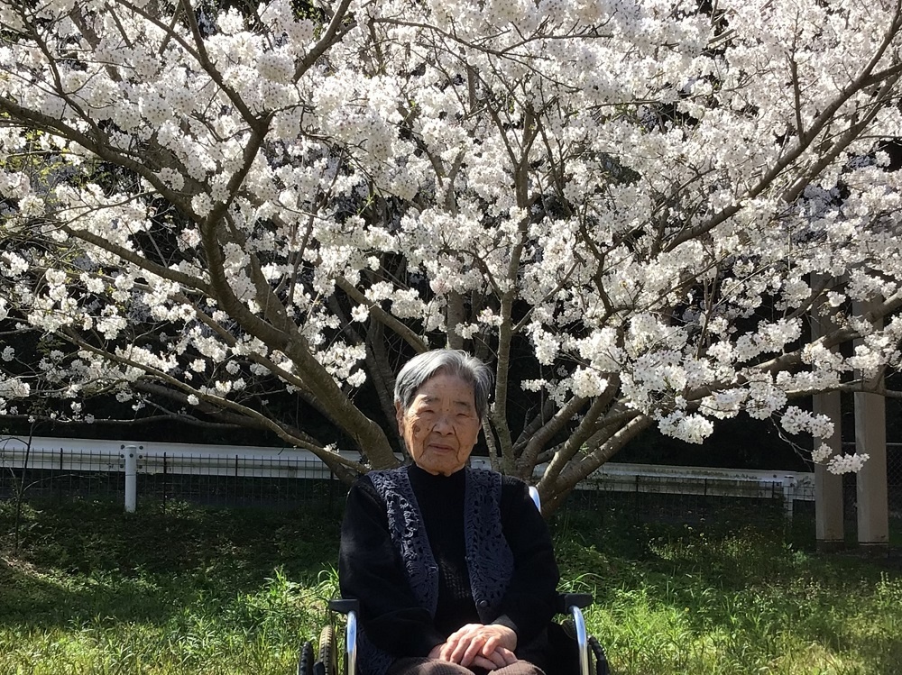 令和６年花見