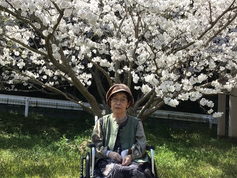 令和６年花見