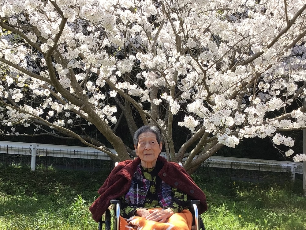 令和６年花見