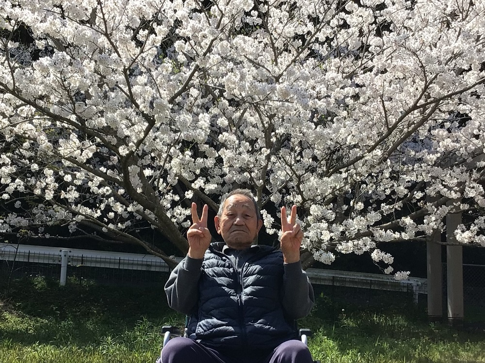 令和６年花見