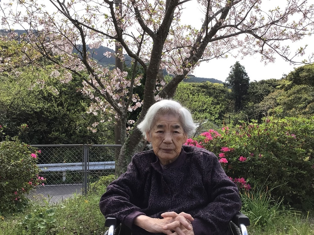 令和６年花見