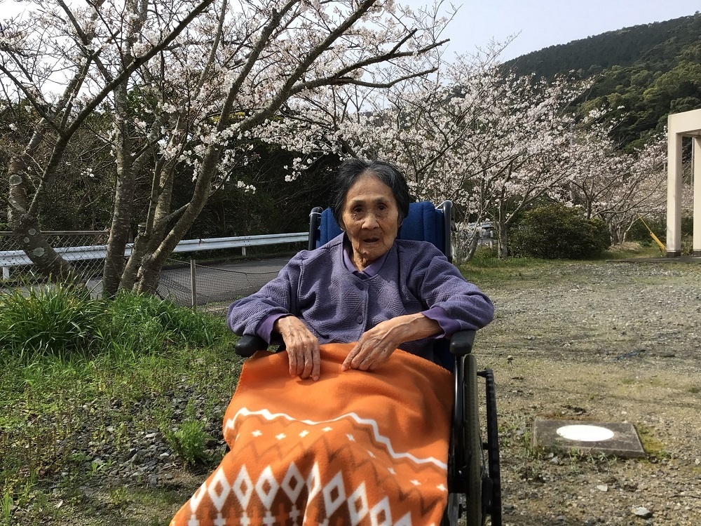 令和６年花見
