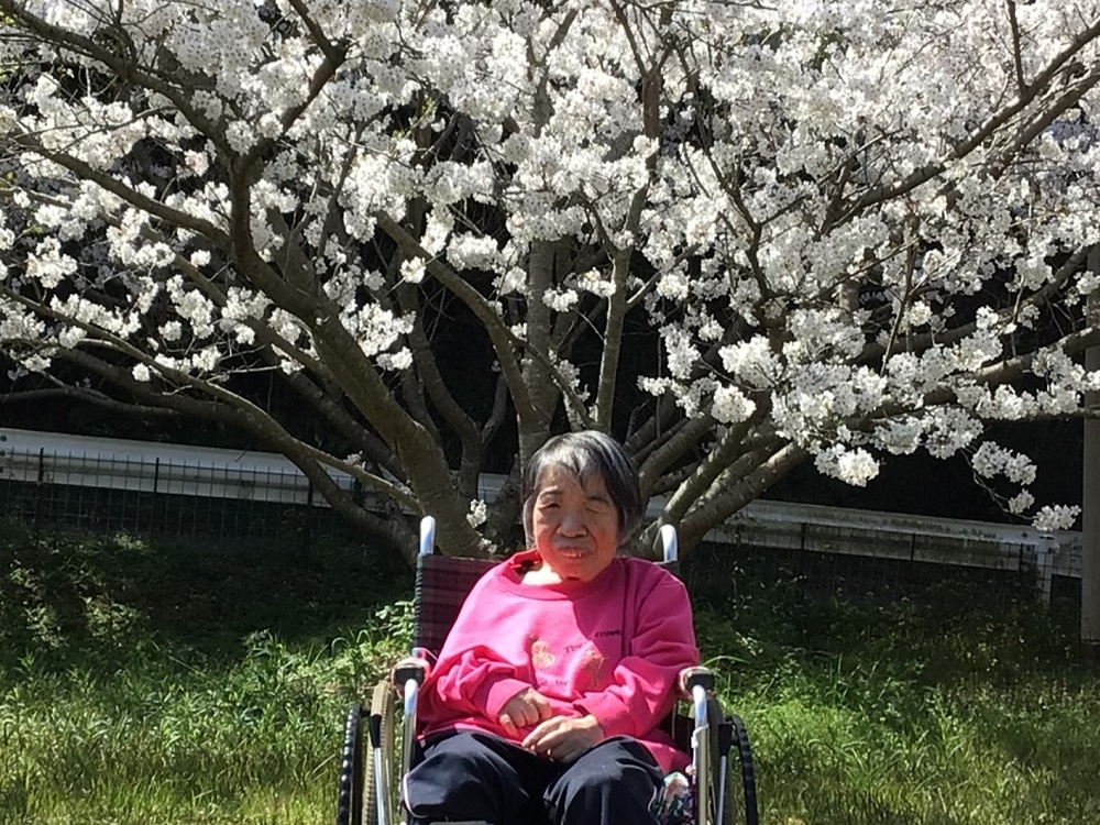 令和６年花見