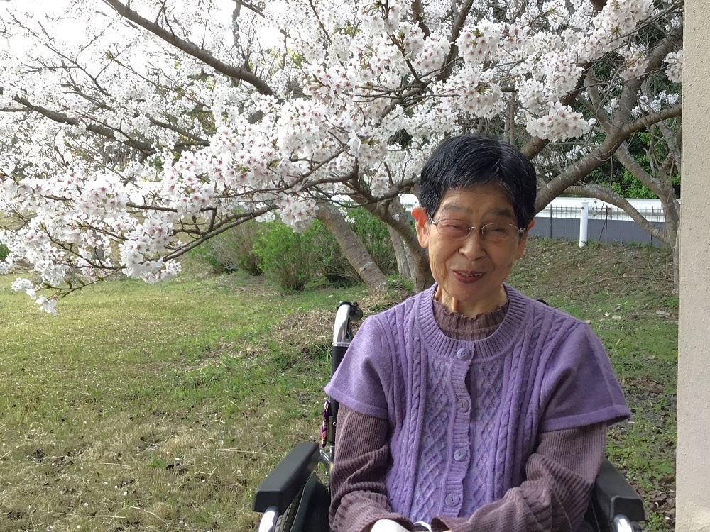 令和７年花見の様子