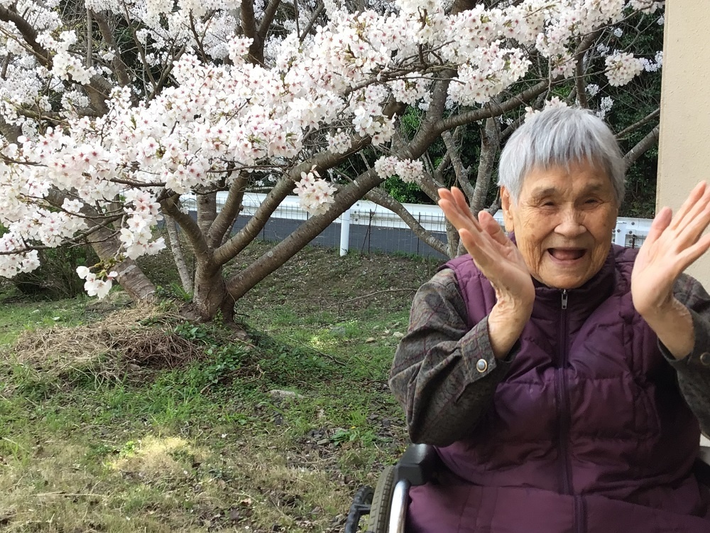 令和７年花見の様子