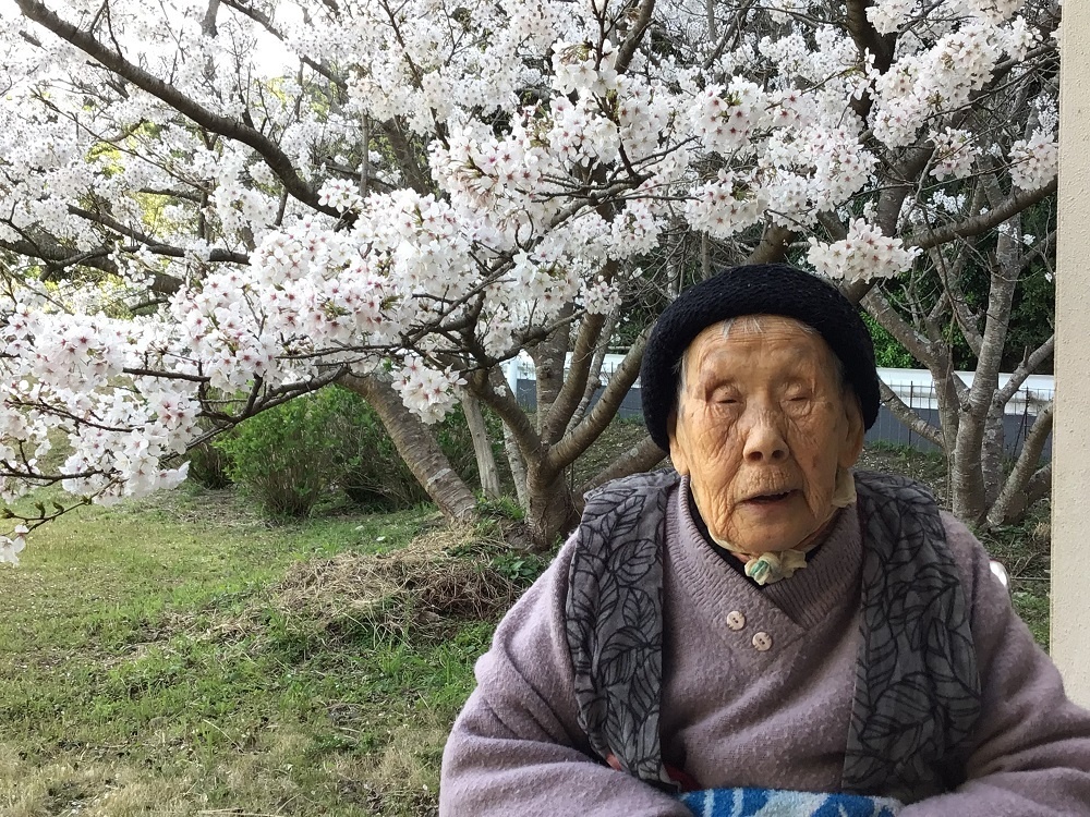 令和７年　花見の様子
