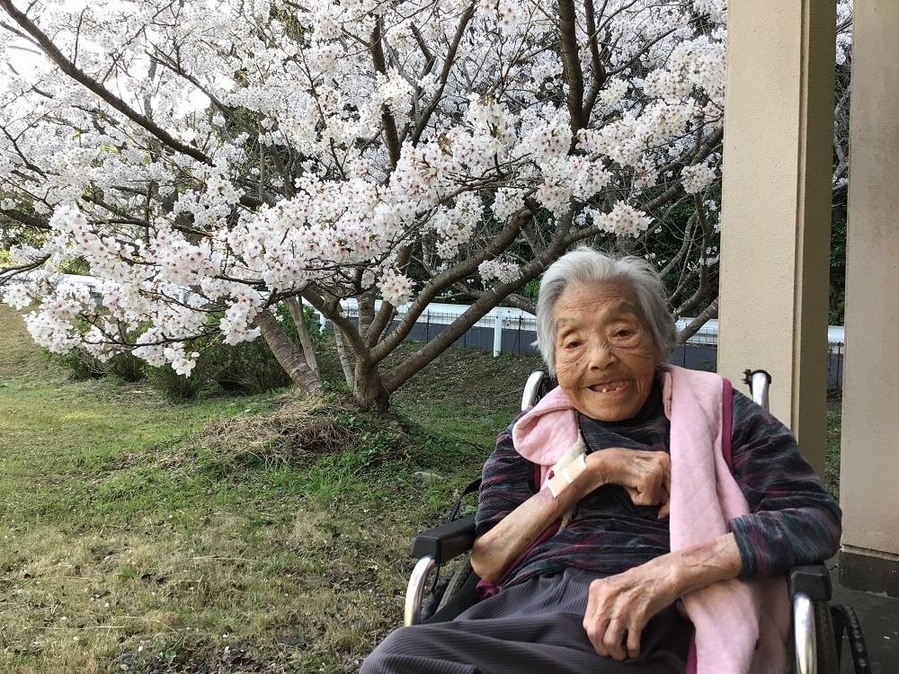 令和７年　花見の様子