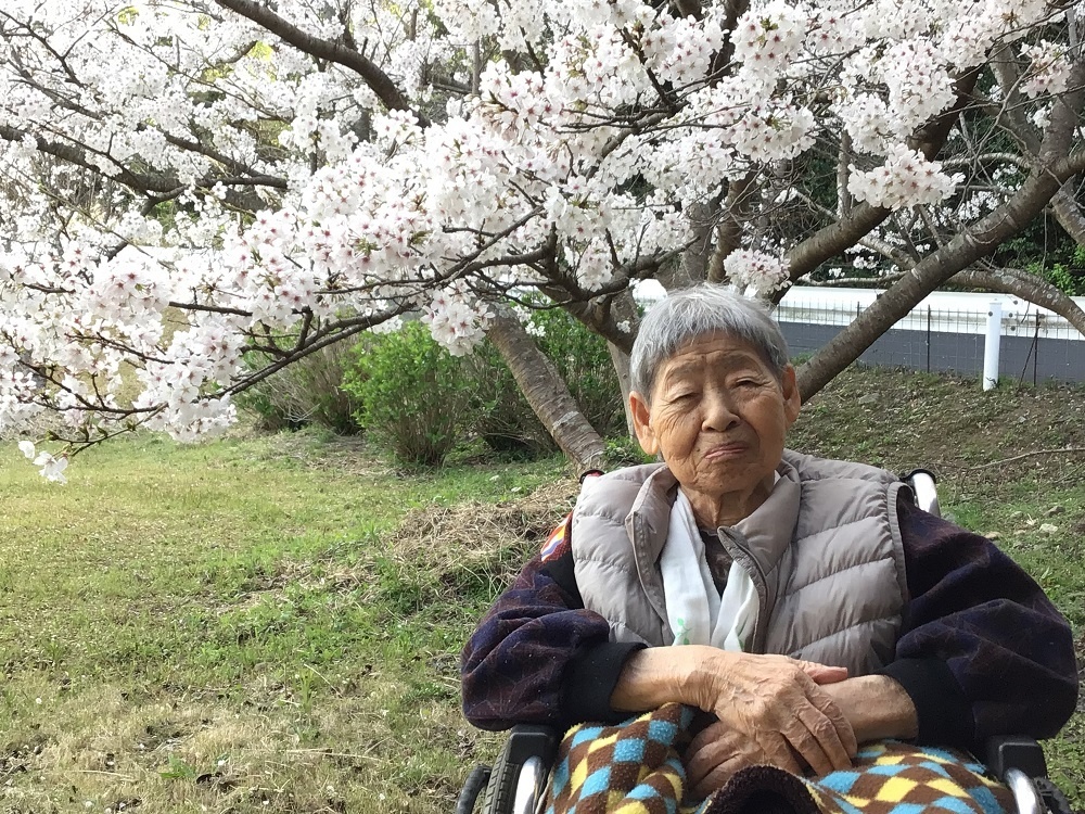令和７年　花見の様子