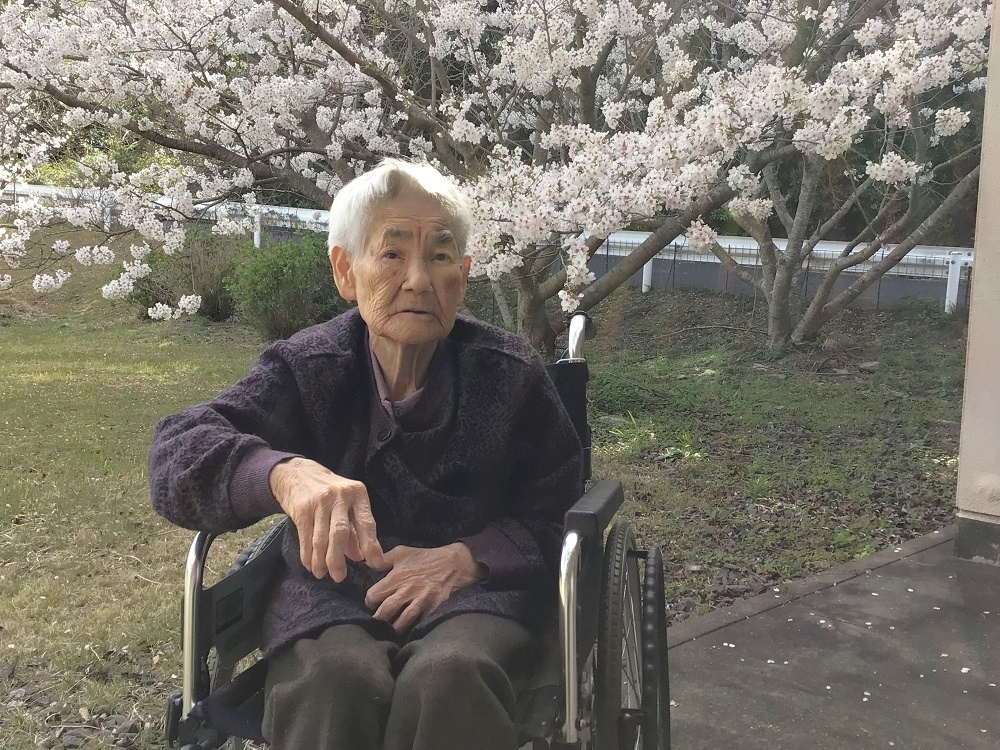 令和７年　花見の様子
