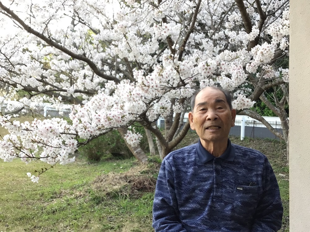 令和７年　花見の様子