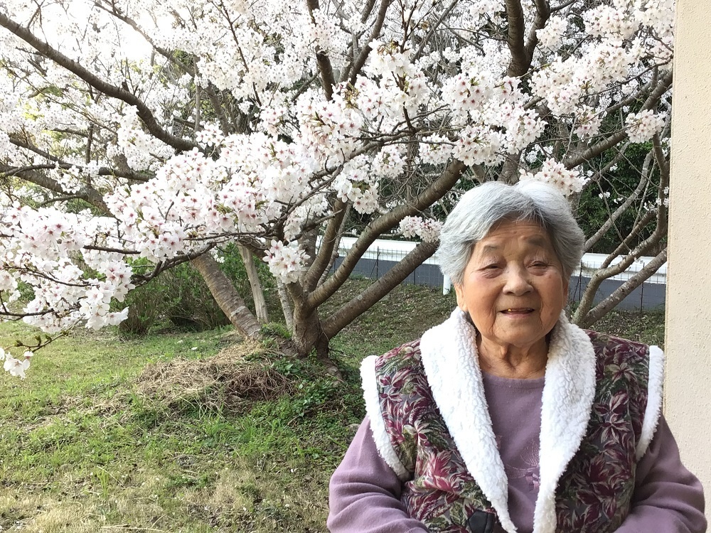 令和７年　花見の様子