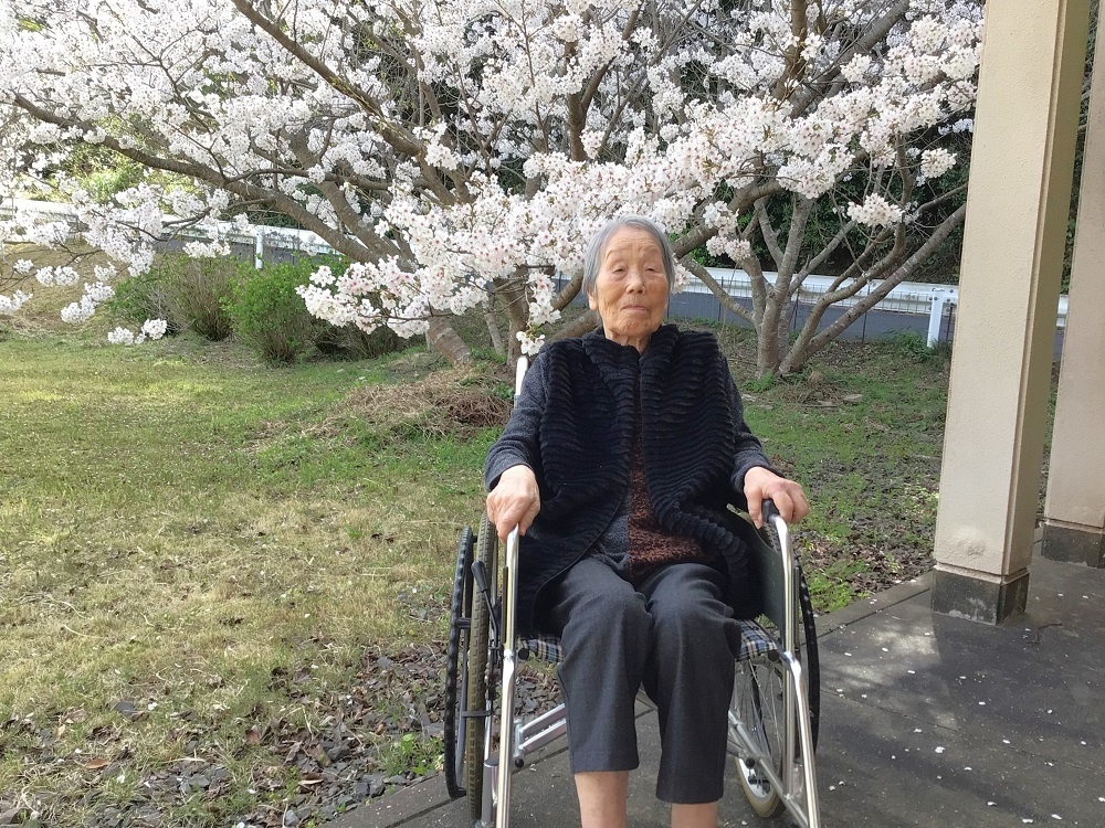 令和７年　花見の様子