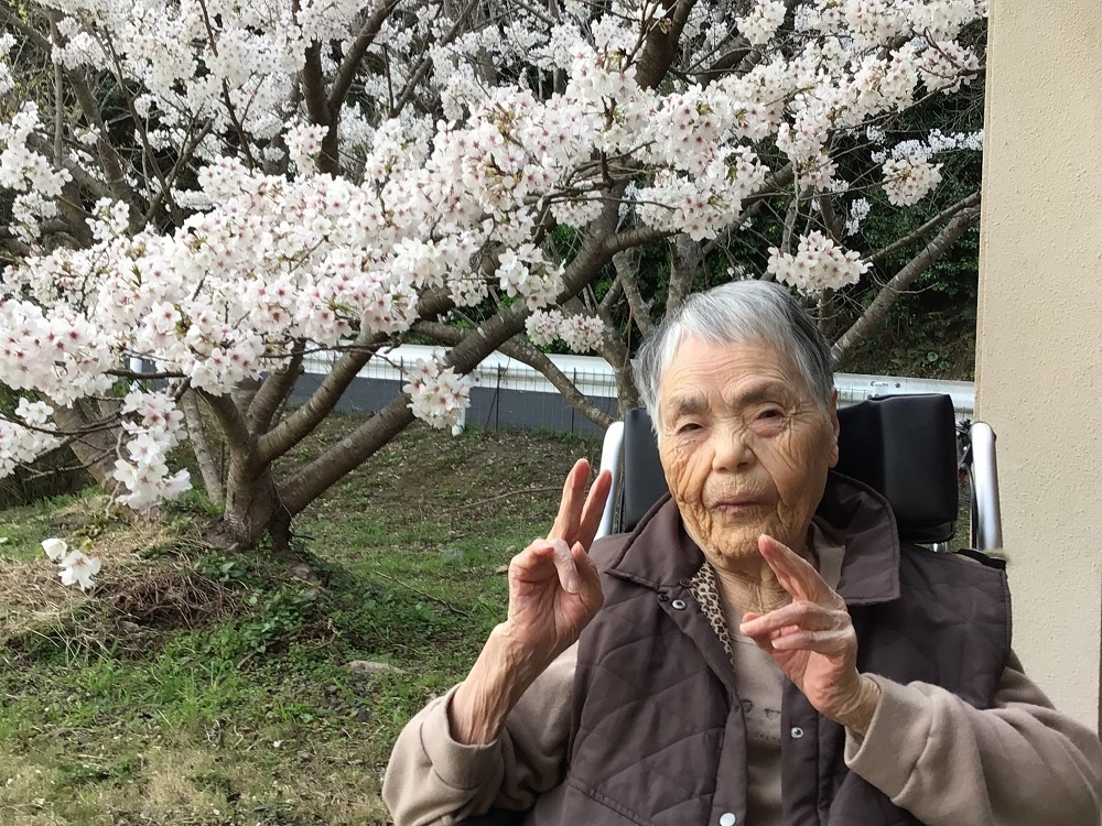 令和７年　花見の様子