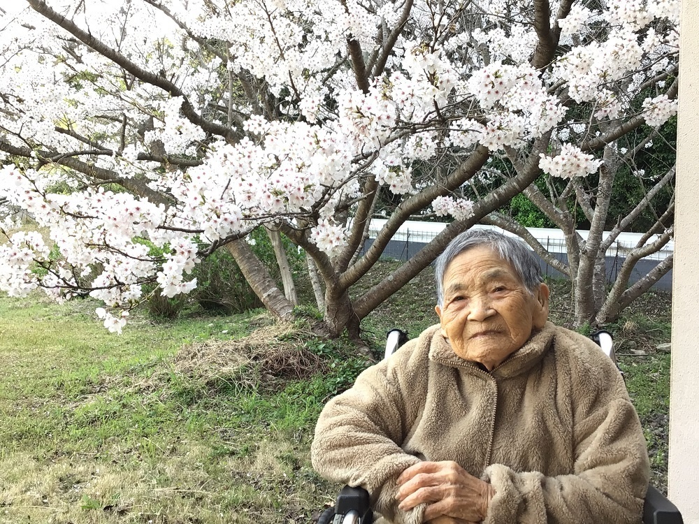 令和７年　花見の様子