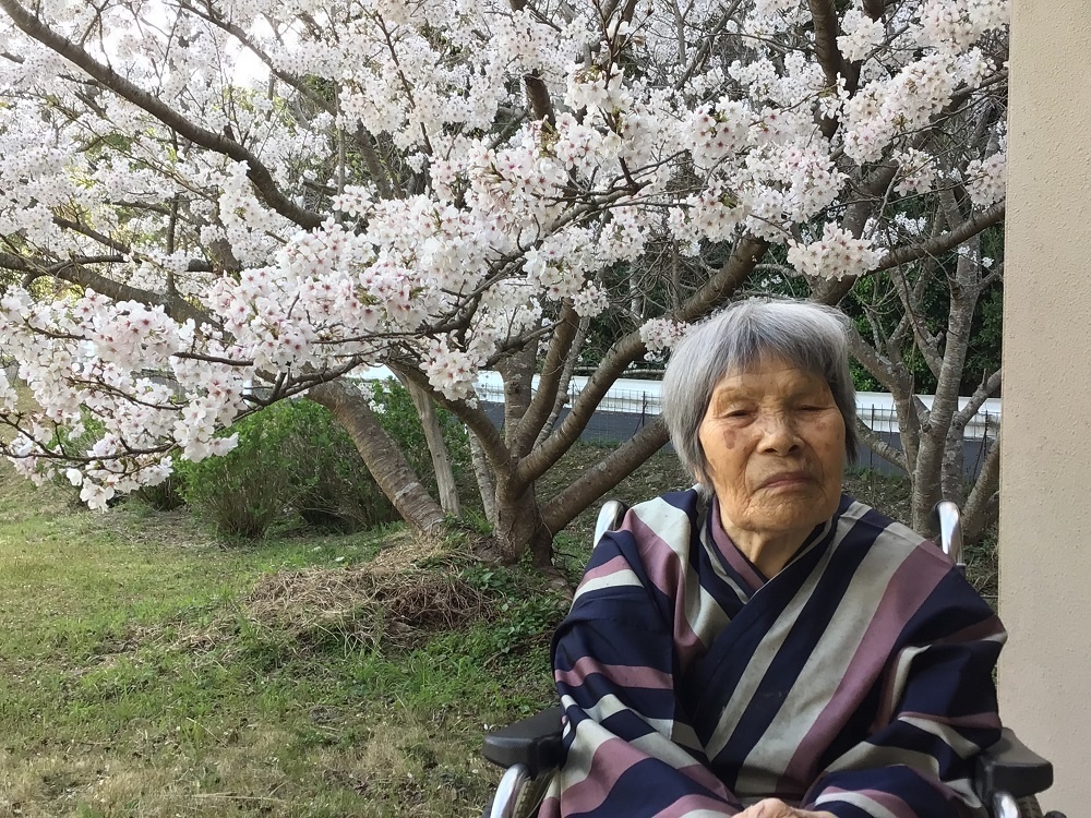 令和７年　花見の様子